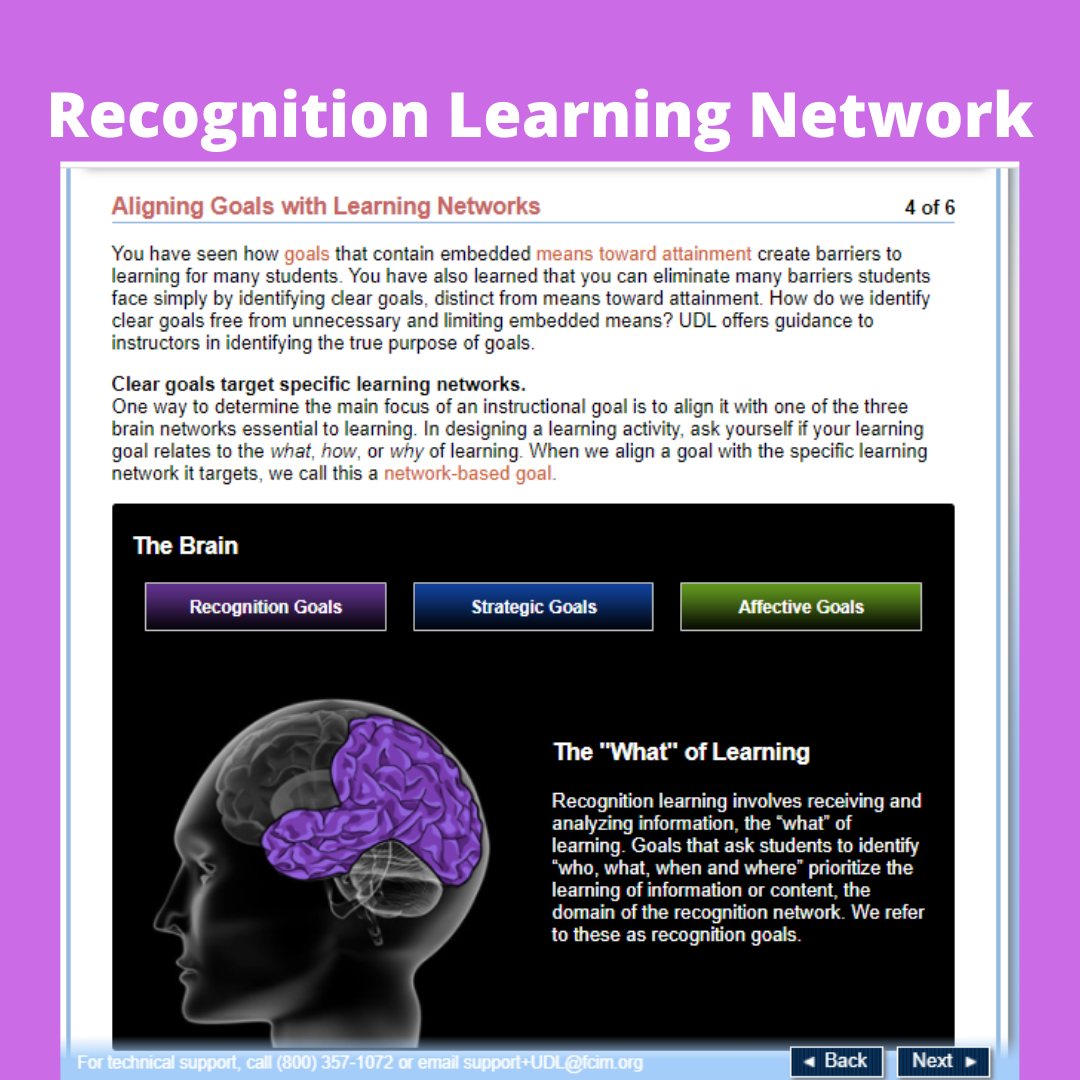 Universal Design for Learning Mickie Teaches