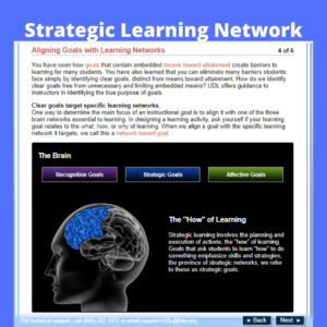 image from a UDL training page that shows the how of learning in the strategic network of the brain